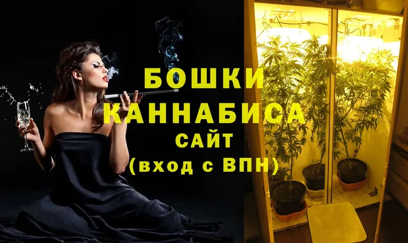 Канабис OG Kush  Торжок 